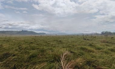 Finca en venta  de 58.6 Has en Veraguas – Santiago (DR)