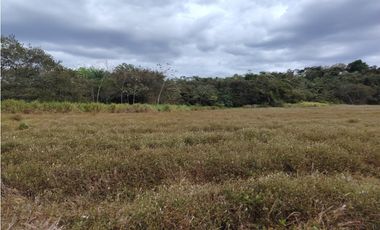 Finca en venta  de 58.6 Has en Veraguas – Santiago (DR)