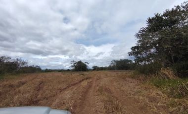 Finca en venta  de 58.6 Has en Veraguas – Santiago (DR)