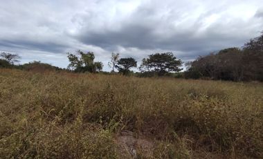 Finca en venta  de 58.6 Has en Veraguas – Santiago (DR)