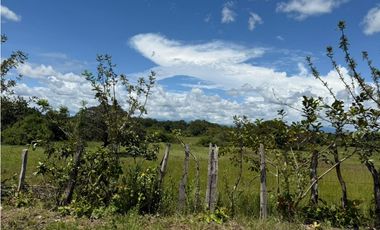 Finca en venta  de 58.6 Has en Veraguas – Santiago (DR)