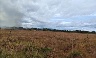 Finca en venta  de 58.6 Has en Veraguas – Santiago (DR)