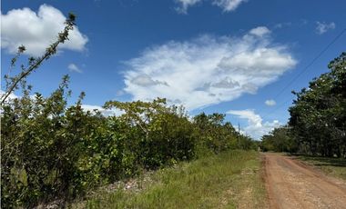 Finca en venta  de 58.6 Has en Veraguas – Santiago (DR)