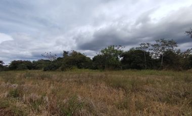 Finca en venta  de 58.6 Has en Veraguas – Santiago (DR)