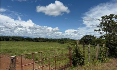 Finca en venta  de 58.6 Has en Veraguas – Santiago (DR)