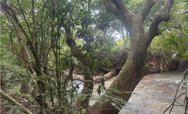 Finca en venta  de 58.6 Has en Veraguas – Santiago (DR)