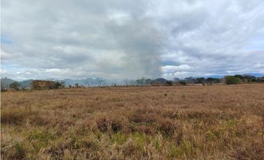 Finca en venta  de 58.6 Has en Veraguas – Santiago (DR)