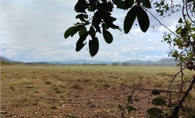 Finca en venta  de 58.6 Has en Veraguas – Santiago (DR)