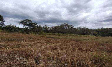 Finca en venta  de 58.6 Has en Veraguas – Santiago (DR)