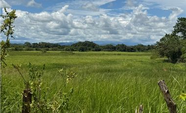 Finca en venta  de 58.6 Has en Veraguas – Santiago (DR)