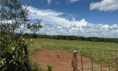 Finca en venta  de 58.6 Has en Veraguas – Santiago (DR)