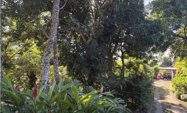 CHAME / EL CELAJE / 10000 M / 3 HABITACION / 3.5 BAÑOS / AG