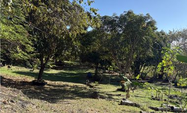 CHAME / EL CELAJE / 10000 M / 3 HABITACION / 3.5 BAÑOS / AG