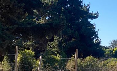 Arriendo hermosa casa en Condomino Los Pinos Reñaca