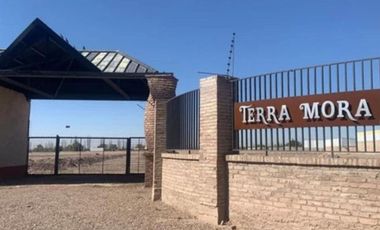 VENTA Lote Barrio Privado Terra Mora Guaymallen