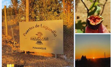 Parcela en venta en PUMANQUE