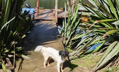 Parcela en venta en VALDIVIA