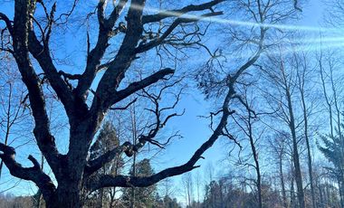 Parcela en venta en VILLARRICA