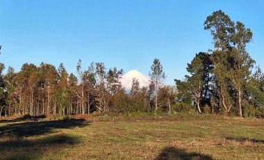 Parcela en venta en VILLARRICA