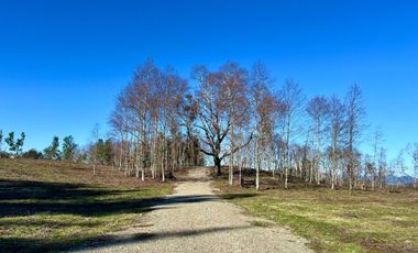 Parcela en venta en VILLARRICA