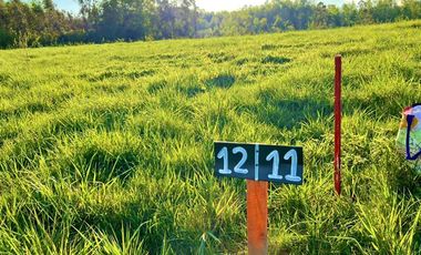 Parcela en Venta en S-705