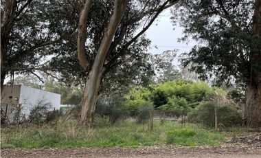 Lote en Costa Azul