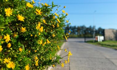 Las Tinajas Barrio Parque lotes de 900 m2