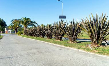 Lotes Comerciales de 900 m2 sobre ex Ruta 7 , Luján