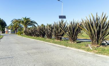 Lujan , lotes comerciales sobre ruta  900 m2 facilidades a convenir