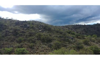 S. FRANCISCO DEL MONTE DE ORO 43 has permuto