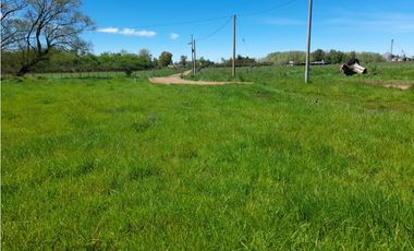 Lotes en Maria Ignacia 