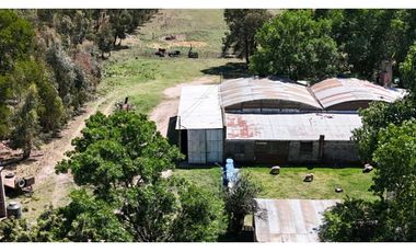 Venta chacra industrial Coronel Suárez