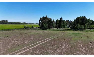 Venta chacra industrial Coronel Suárez
