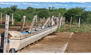 18.000 Ha a 60 km Santiago del Estero