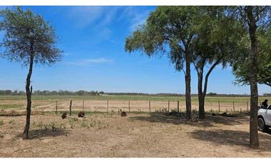 Estancia el Salteño ( La Argentina)