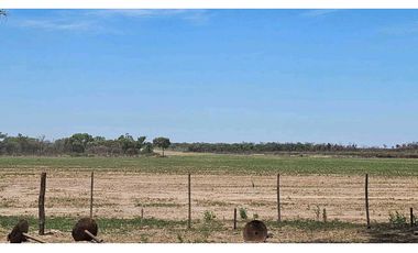 Estancia el Salteño ( La Argentina)