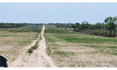 Estancia el Salteño ( La Argentina)