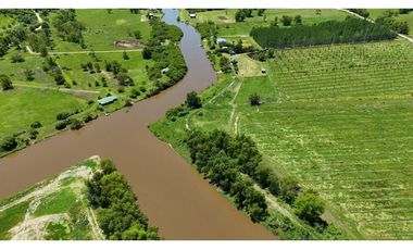 Lote en venta en  Villa Paranacito