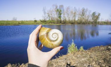 Lote en venta en  Villa Paranacito