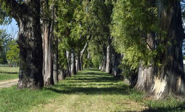 Lote en Venta Lujan barrio La Asuncion