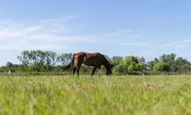 Lote en Venta Lujan barrio La Asuncion