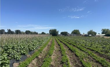 CAMPO AGRICOLA VENTA EN DERQUI PILAR
