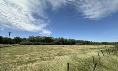 CAMPO AGRICOLA VENTA EN DERQUI PILAR