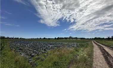 CAMPO AGRICOLA VENTA EN DERQUI PILAR