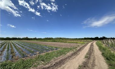 CAMPO AGRICOLA VENTA EN DERQUI PILAR