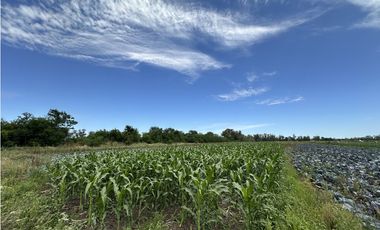 CAMPO AGRICOLA VENTA EN DERQUI PILAR
