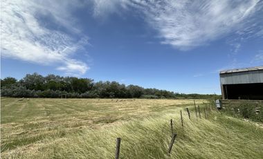 CAMPO AGRICOLA VENTA EN DERQUI PILAR