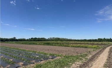 CAMPO AGRICOLA VENTA EN DERQUI PILAR