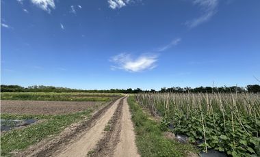 CAMPO AGRICOLA VENTA EN DERQUI PILAR