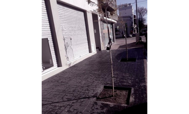 Local a la Calle a Estrenar, Mar del Plata – Moreno 3400